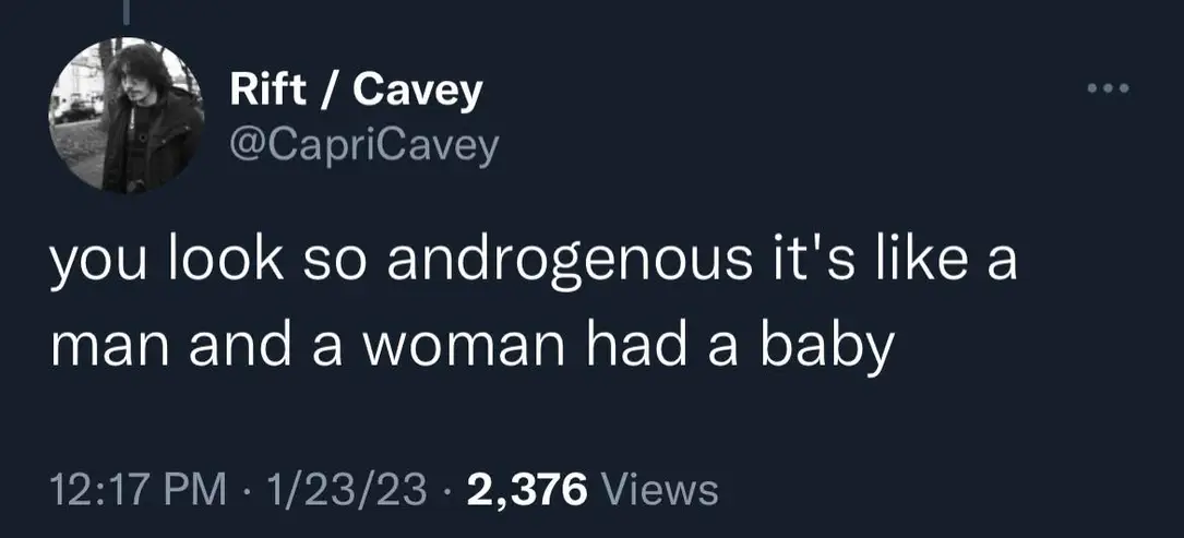 This meme is a screenshot of a tweet that appears to be a sarcastic and humorous comment. The text reads: "you look so androgynous it's like a woman had a baby."